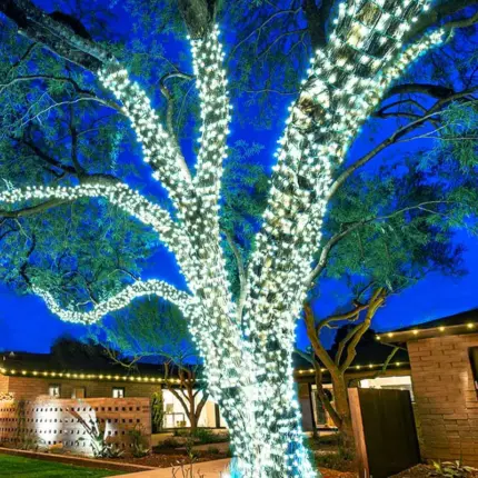 Fairy Lights- Large Tree Kit - Bright Glow Lighting